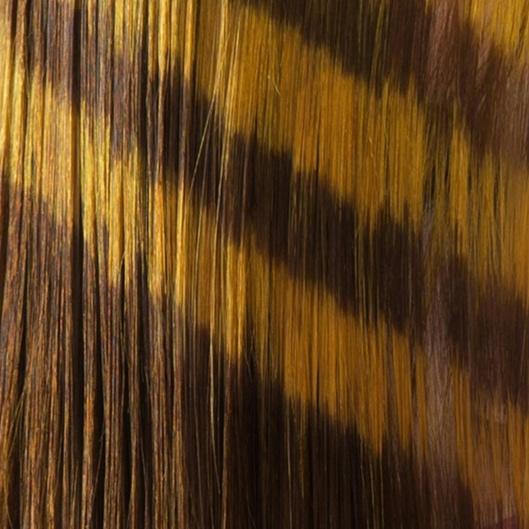 Color correction bundle 